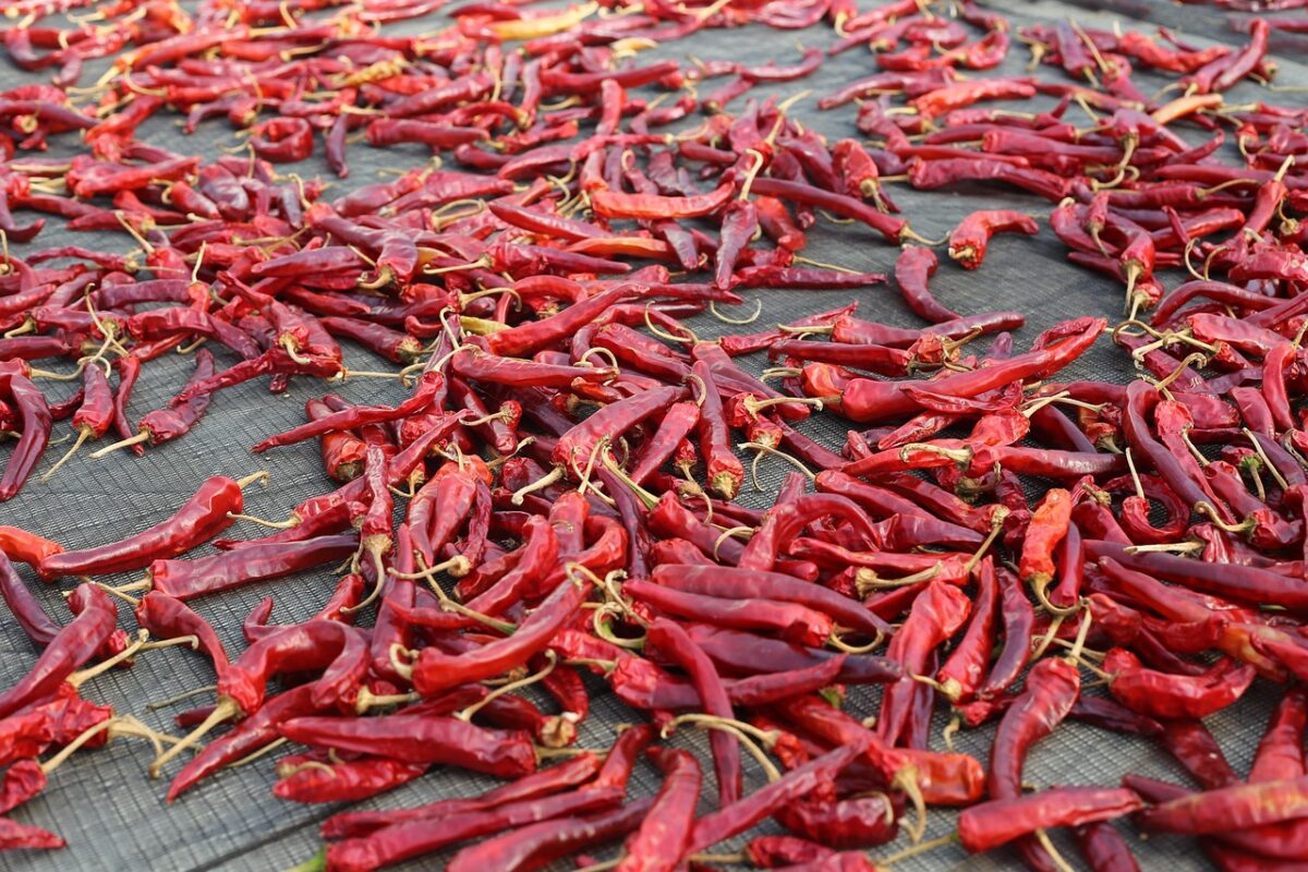 piments rouges seches