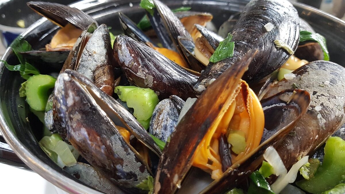 plat de moules