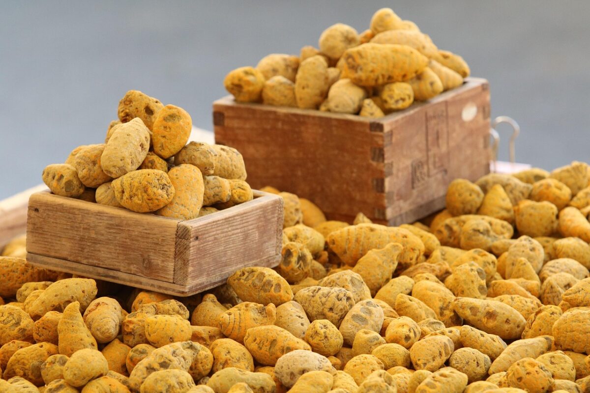 pile de racine de curcuma