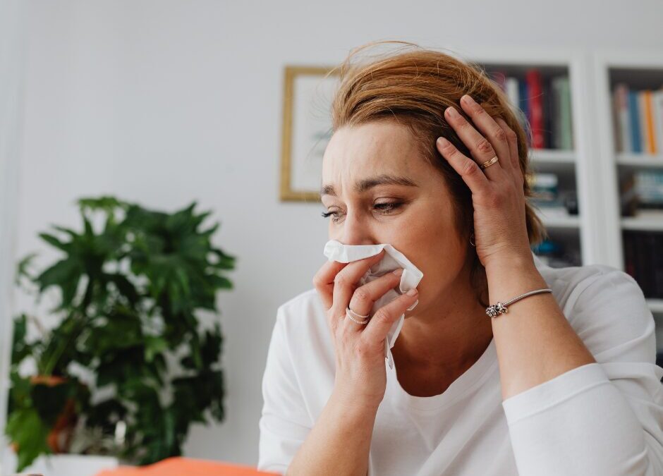allergies maison