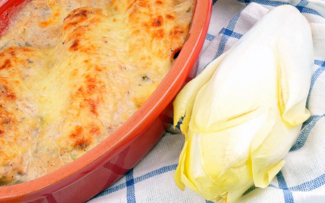 chicons au gratin