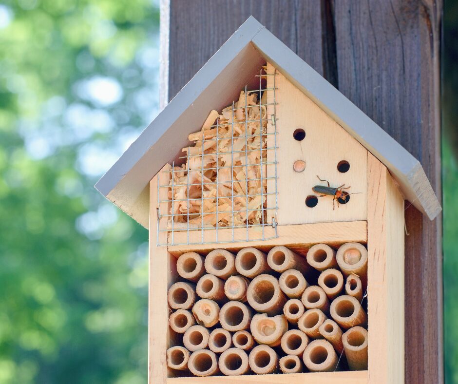hotel insectes exterieur
