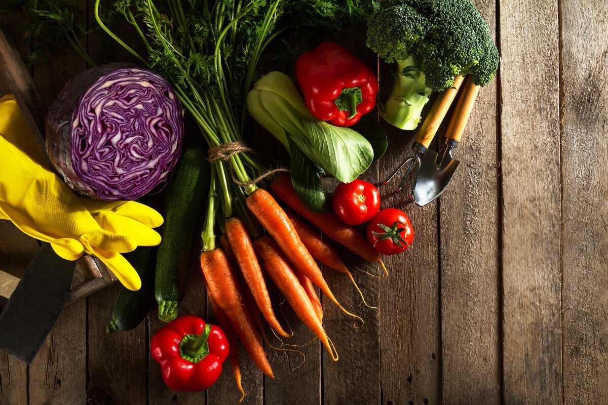 legumes colores sur fond en bois