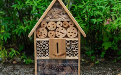 Maison à insectes DIY : comment fabriquer un abri naturel pour votre jardin