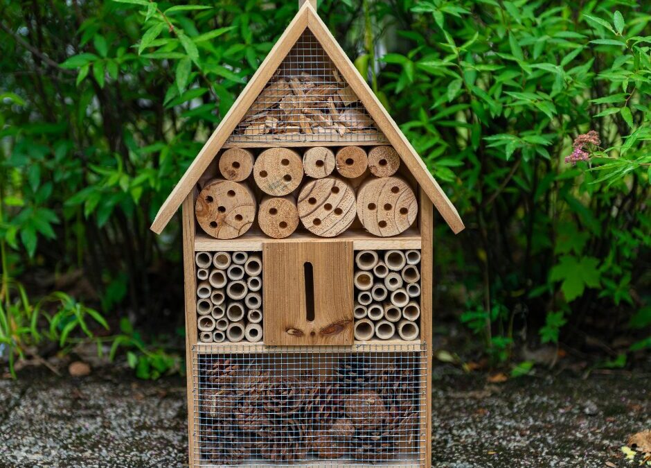 maison a insectes jardin