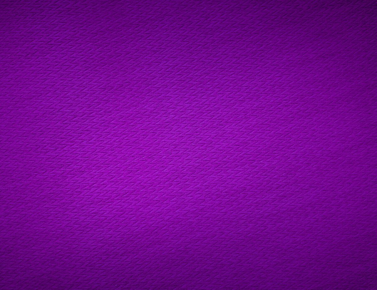 couleur violet