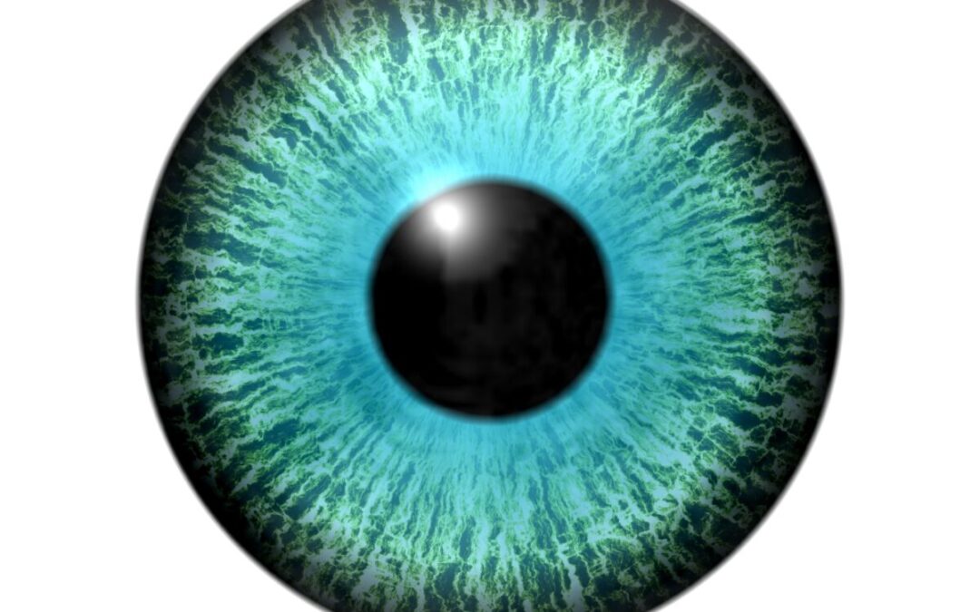 yeux bleu vert